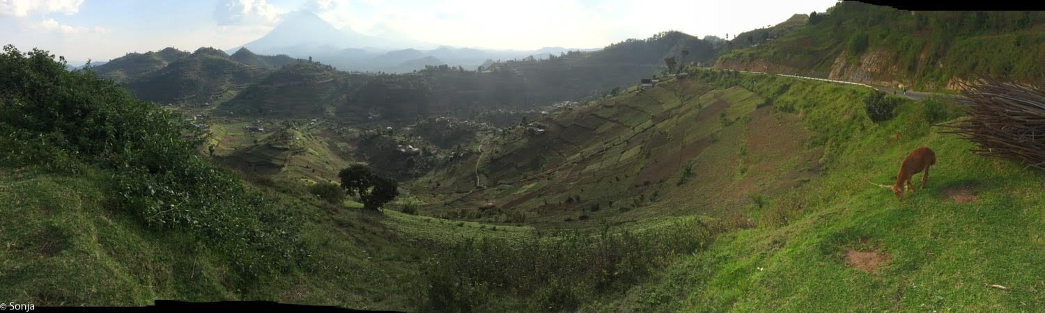 sonja-2016-10-13_003