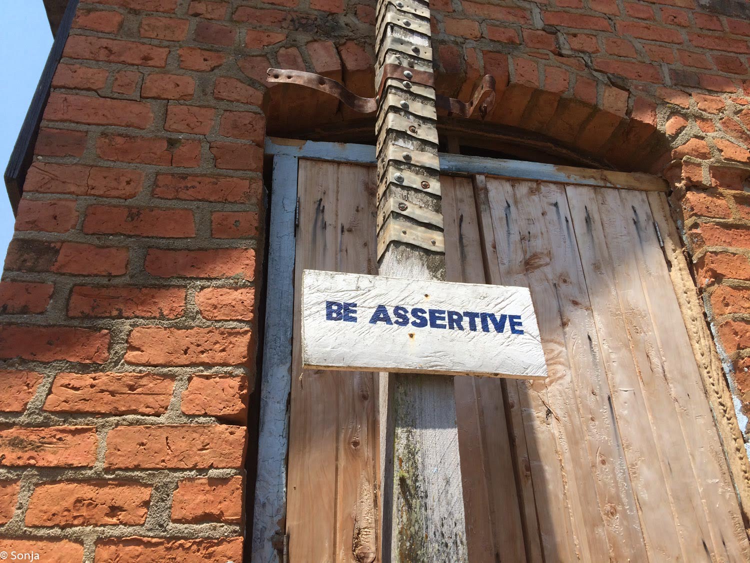 sonja-2016-10-14_012