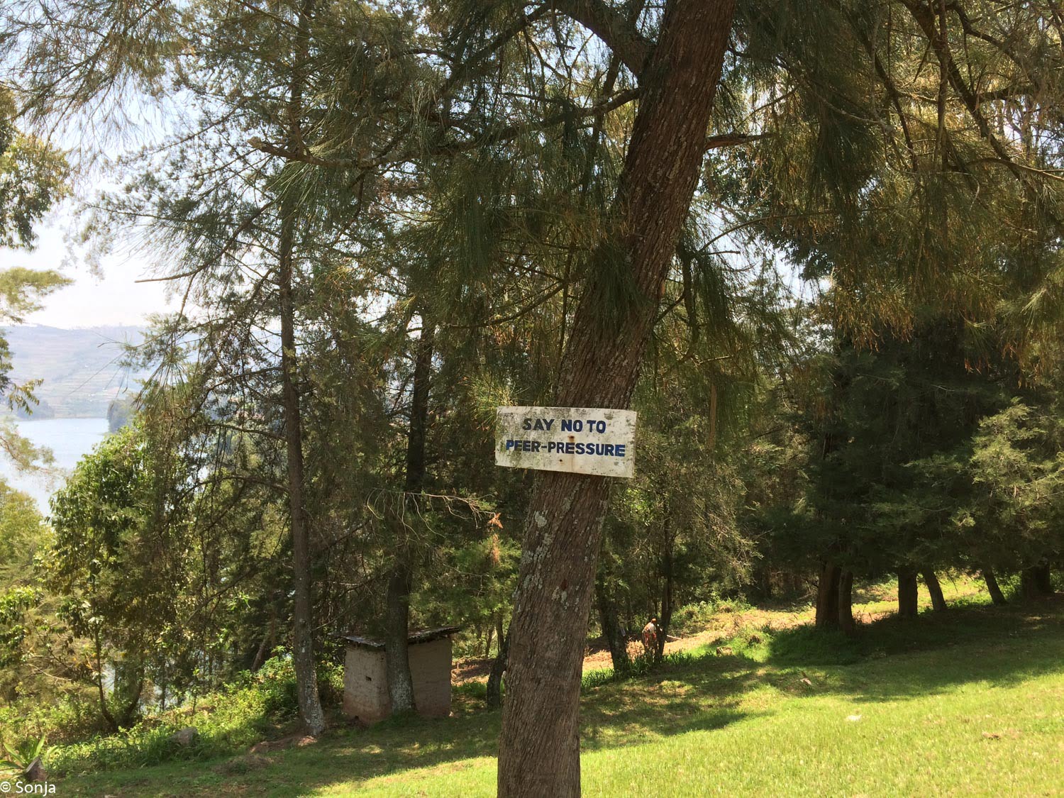 sonja-2016-10-14_016