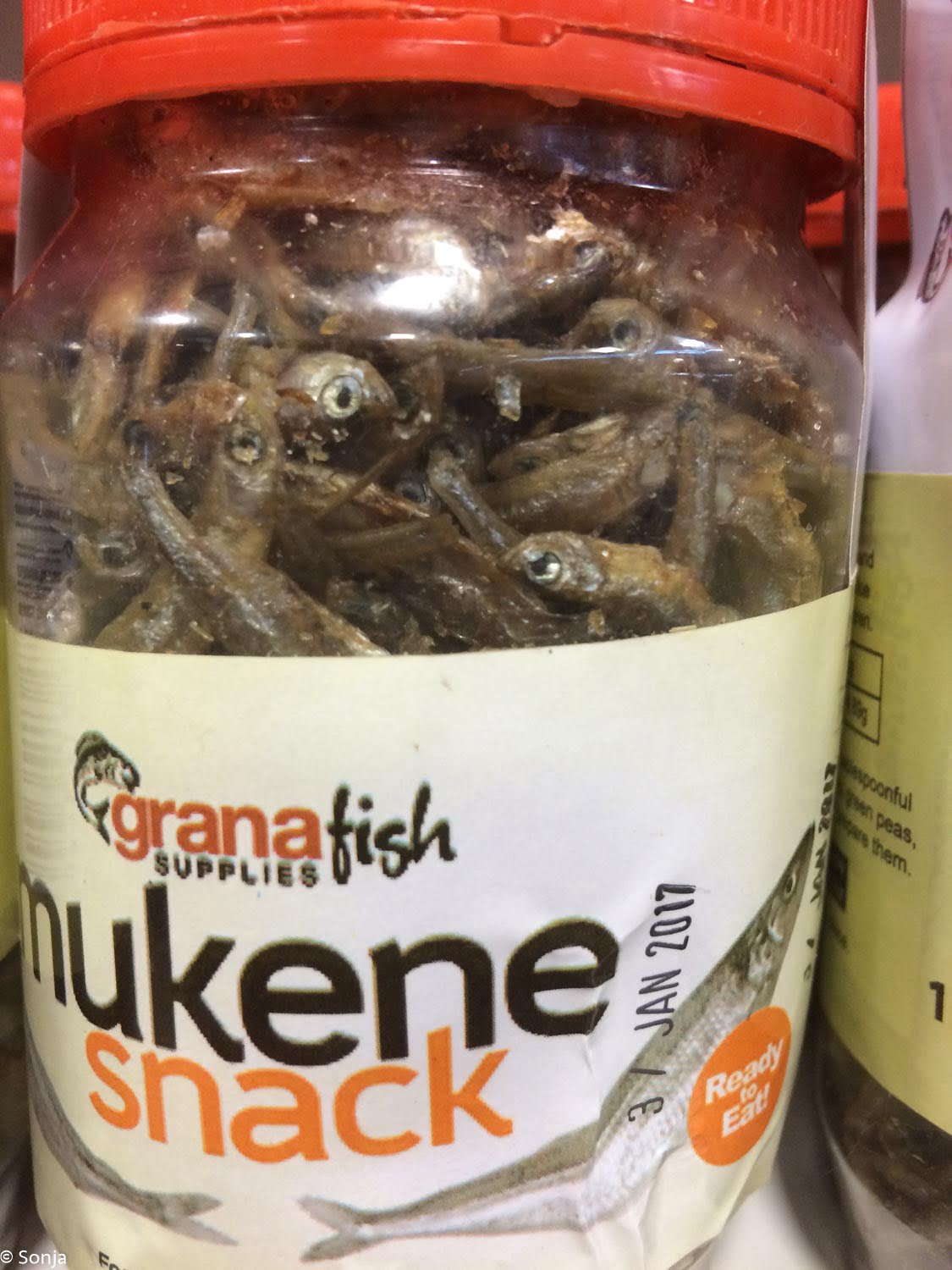 sonja-2016-10-17_040