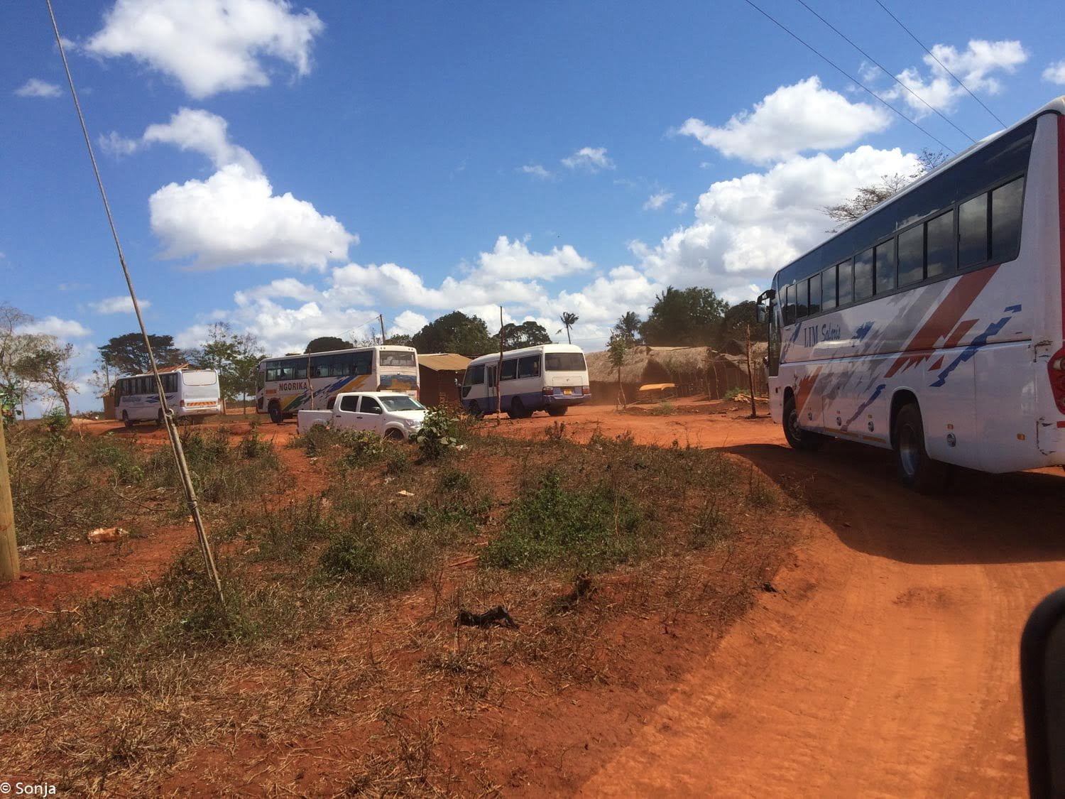 sonja-2016-11-02_004