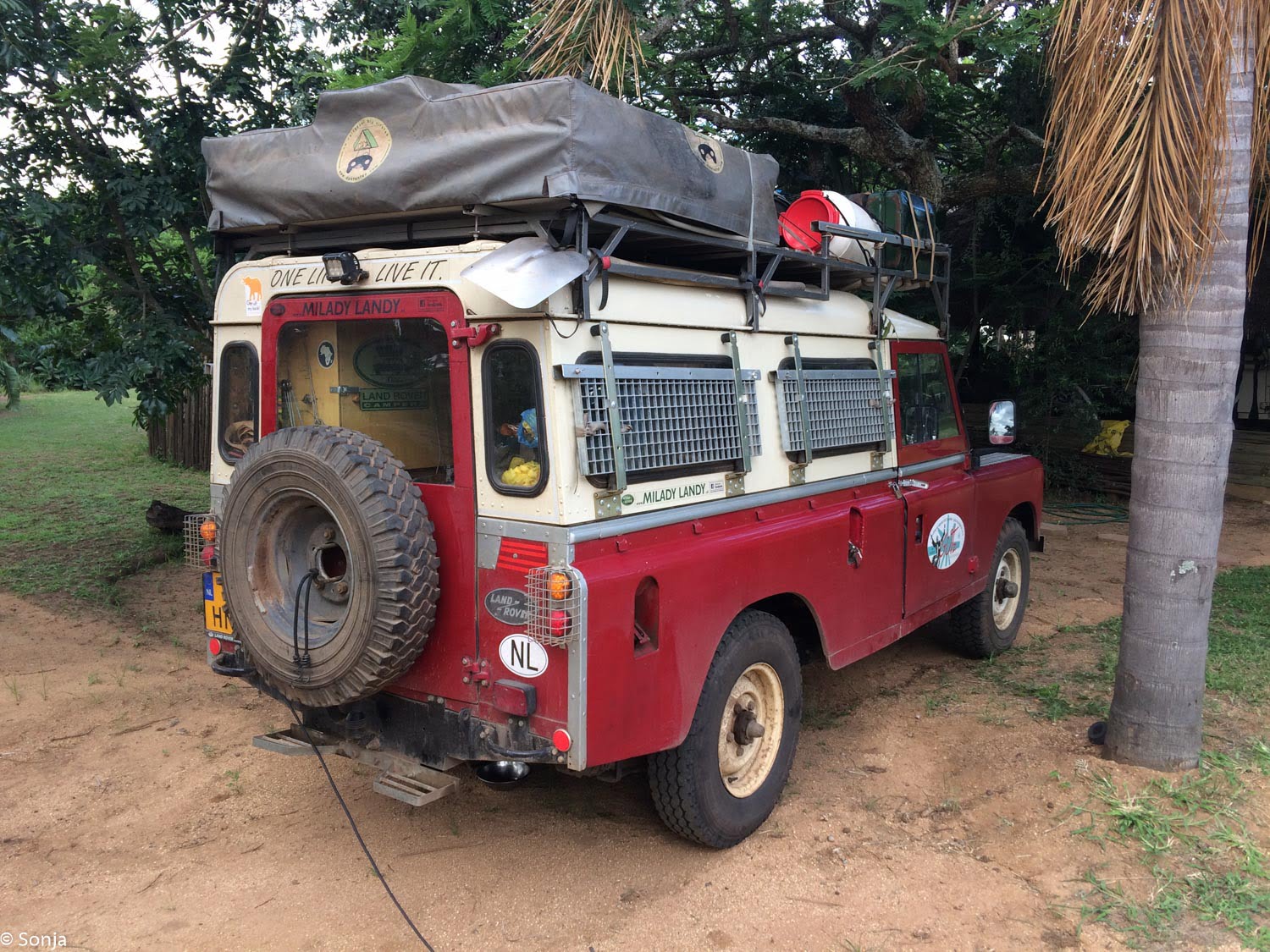Milady Landy, view from the rear